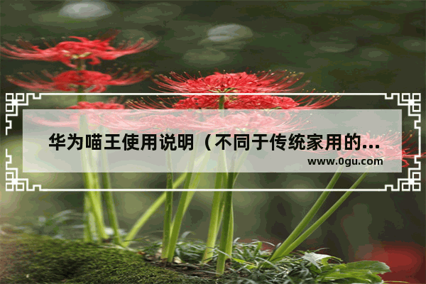 华为喵王使用说明（不同于传统家用的一款便携式路由）