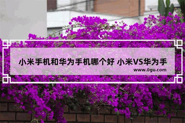 小米手机和华为手机哪个好 小米VS华为手机详解