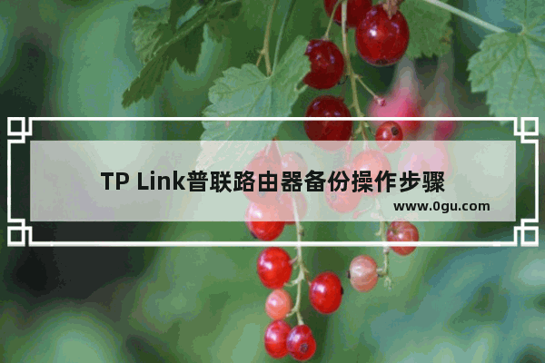 TP Link普联路由器备份操作步骤