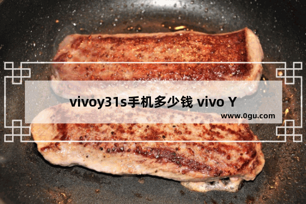 vivoy31s手机多少钱 vivo Y33s 5G上市报价