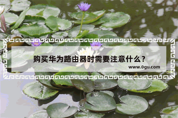 购买华为路由器时需要注意什么？