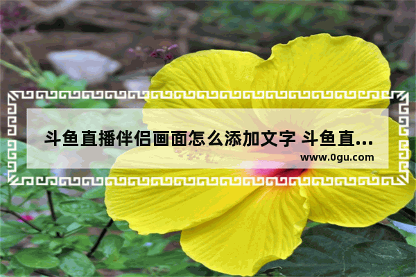 斗鱼直播伴侣画面怎么添加文字 斗鱼直播伴侣画面添加文字的方法