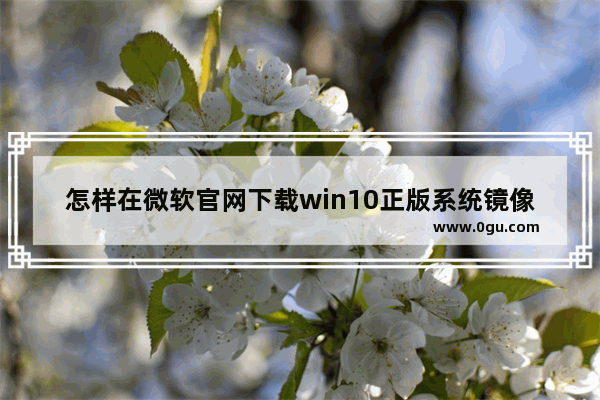 怎样在微软官网下载win10正版系统镜像 win10专业版镜像