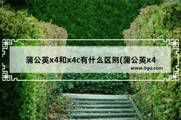 蒲公英x4和x4c有什么区别(蒲公英x4c路由器使用教程)