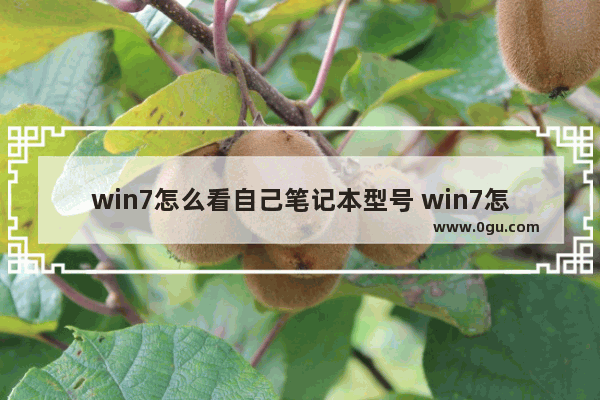 win7怎么看自己笔记本型号 win7怎么查看笔记本型号