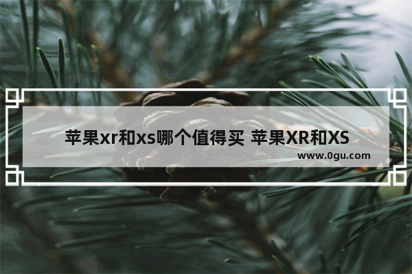 苹果xr和xs哪个值得买 苹果XR和XS区别对比