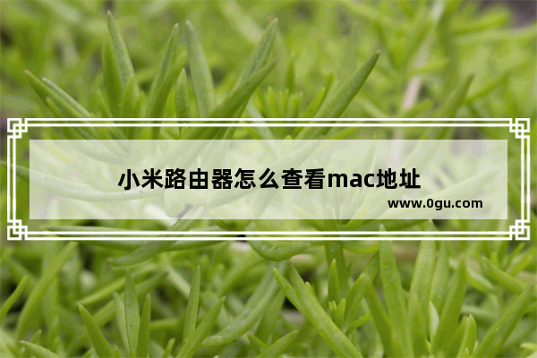 小米路由器怎么查看mac地址