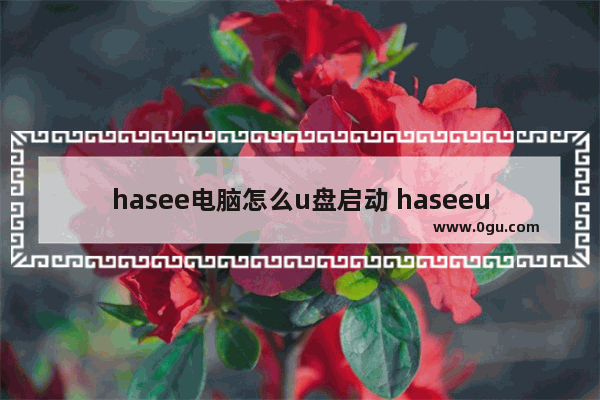 hasee电脑怎么u盘启动 haseeu盘启动快捷键