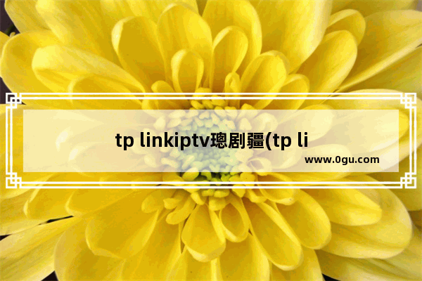 tp linkiptv璁剧疆(tp linkiptv)