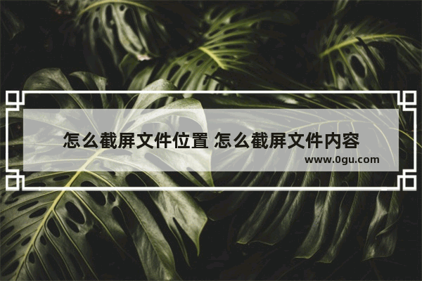 怎么截屏文件位置 怎么截屏文件内容