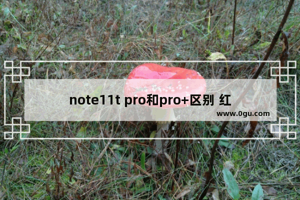 note11t pro和pro+区别 红米Note 11T Pro和Pro+对比