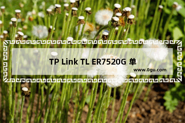TP Link TL ER7520G 单接口设置多网段对接二层交换机设置方法