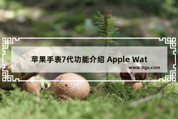 苹果手表7代功能介绍 Apple Watch 7代评测