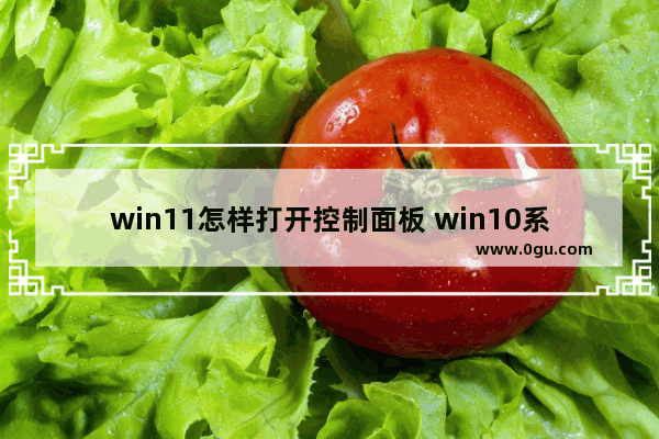win11怎样打开控制面板 win10系统怎么查看摄像头