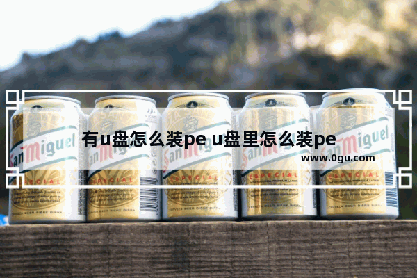 有u盘怎么装pe u盘里怎么装pe