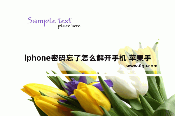 iphone密码忘了怎么解开手机 苹果手机密码忘记了解锁教程