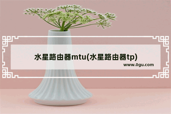 水星路由器mtu(水星路由器tp)