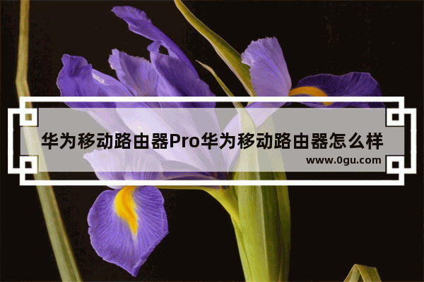 华为移动路由器Pro华为移动路由器怎么样