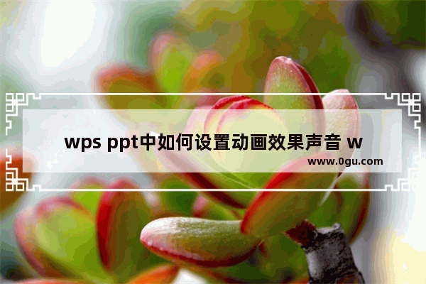 wps ppt中如何设置动画效果声音 wps PPT动画效果添加声音的方法