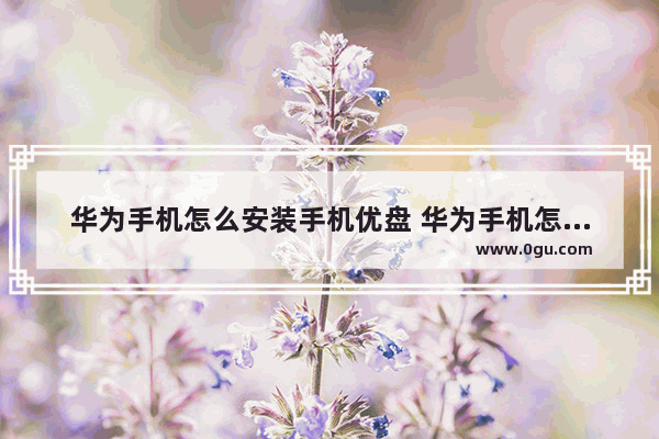 华为手机怎么安装手机优盘 华为手机怎么安装usb