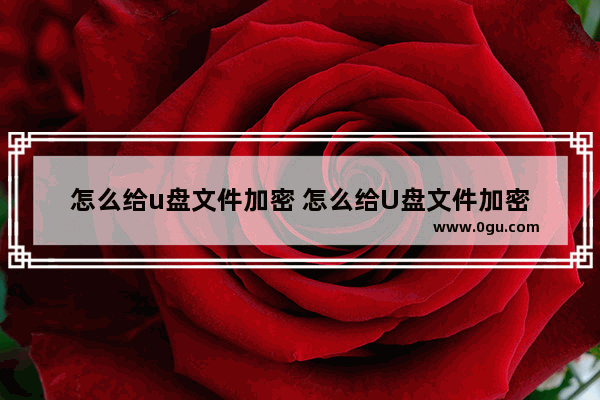 怎么给u盘文件加密 怎么给U盘文件加密