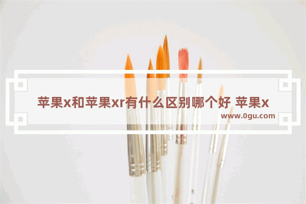 苹果x和苹果xr有什么区别哪个好 苹果xr跟x对比