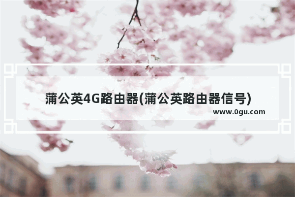 蒲公英4G路由器(蒲公英路由器信号)