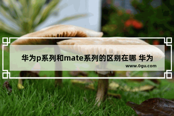 华为p系列和mate系列的区别在哪 华为P和Mate系列的对比