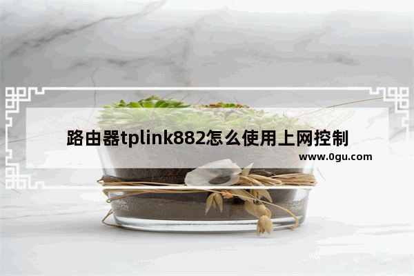 路由器tplink882怎么使用上网控制