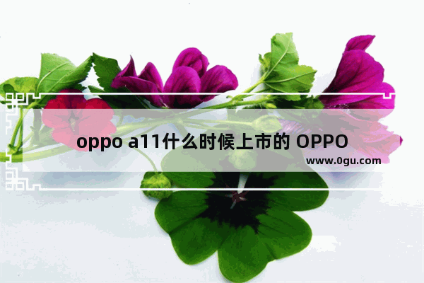 oppo a11什么时候上市的 OPPO A11开售日期