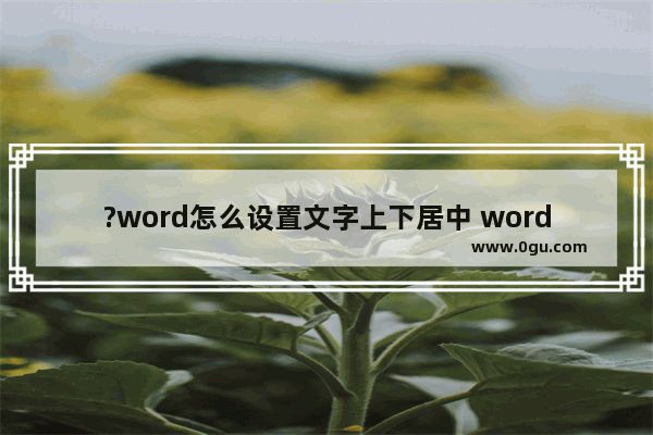 ?word怎么设置文字上下居中 word文档设置文字上下居中的方法教程