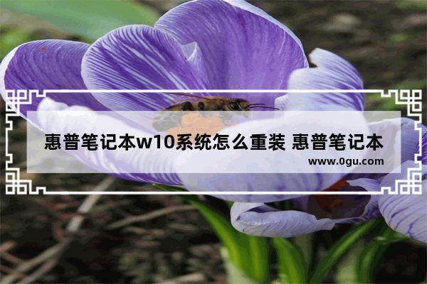 惠普笔记本w10系统怎么重装 惠普笔记本重装win10系统教程