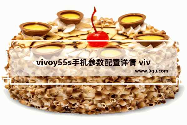 vivoy55s手机参数配置详情 vivo Y55s长续航电池更欢迎