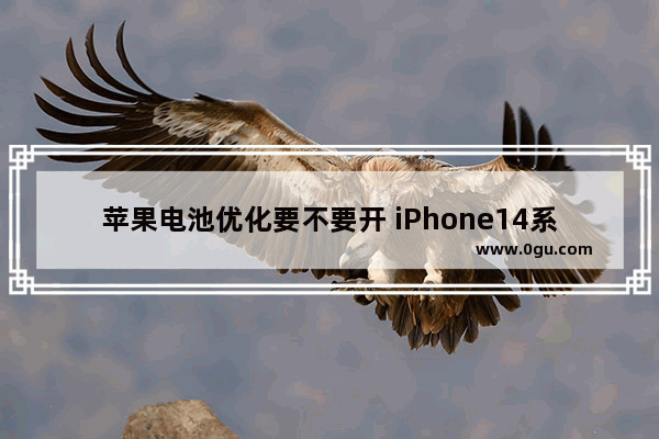 苹果电池优化要不要开 iPhone14系列优化电池充电实测
