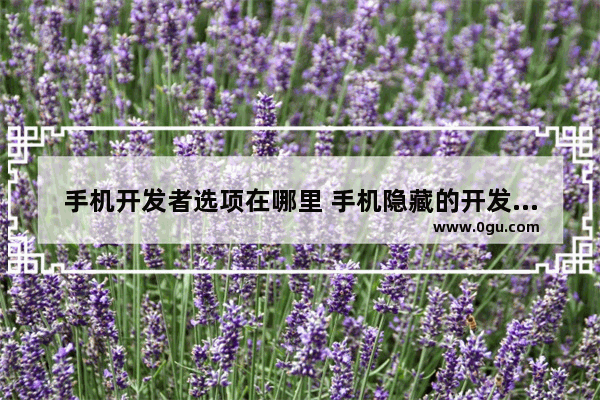 手机开发者选项在哪里 手机隐藏的开发者选项功能详解