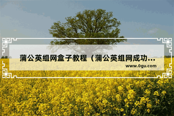 蒲公英组网盒子教程（蒲公英组网成功怎样使用）