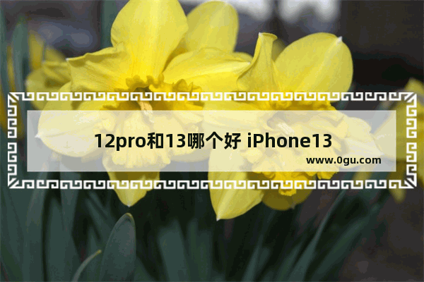 12pro和13哪个好 iPhone13和iPhone12Pro购机建议