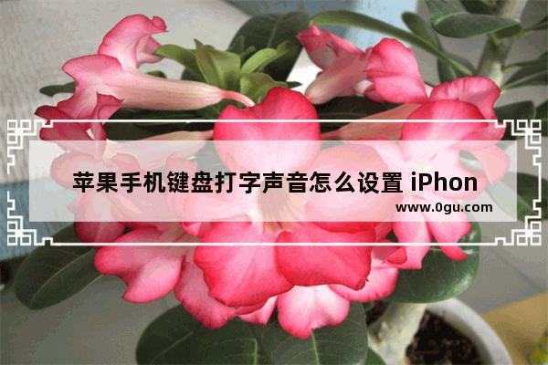 苹果手机键盘打字声音怎么设置 iPhone手机开启键盘声音方法