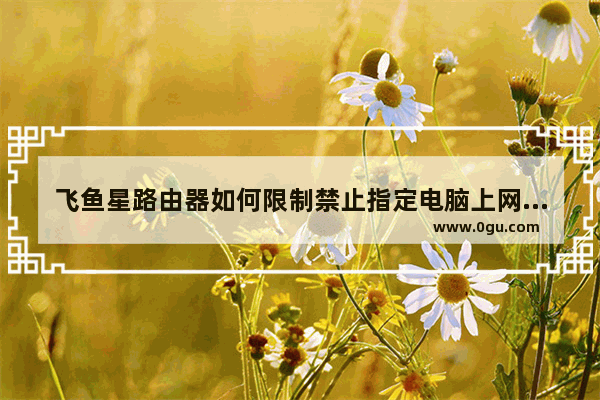 飞鱼星路由器如何限制禁止指定电脑上网【详细介绍】