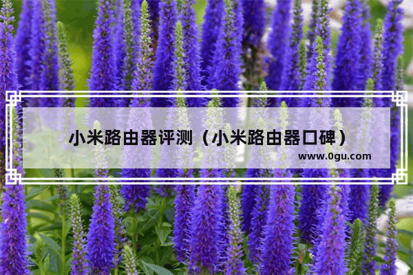 小米路由器评测（小米路由器口碑）