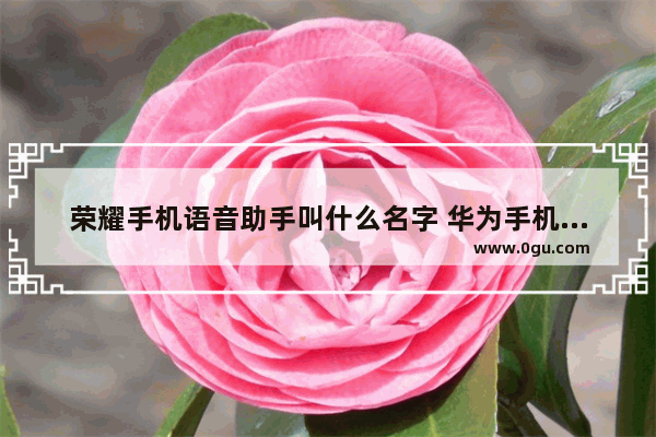 荣耀手机语音助手叫什么名字 华为手机自带的语音助手新玩法