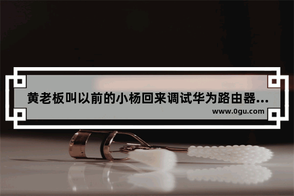 黄老板叫以前的小杨回来调试华为路由器，小杨跟老板讲2000元钱一天