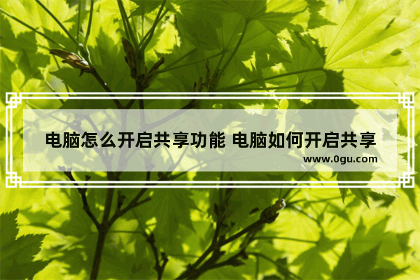 电脑怎么开启共享功能 电脑如何开启共享