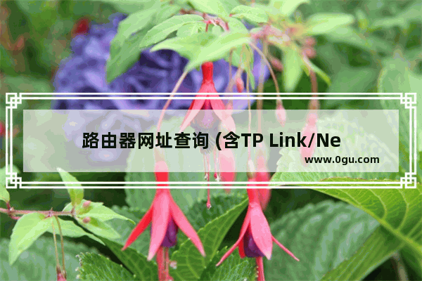 路由器网址查询 (含TP Link/NetCore/Tenda/Mercury等)