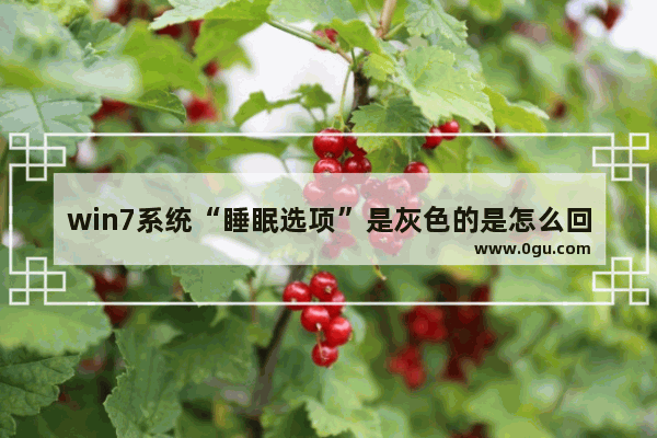 win7系统“睡眠选项”是灰色的是怎么回事 win7文件夹选项被隐藏