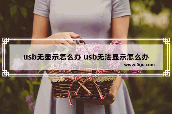 usb无显示怎么办 usb无法显示怎么办