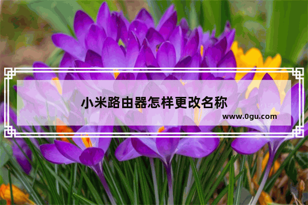 小米路由器怎样更改名称