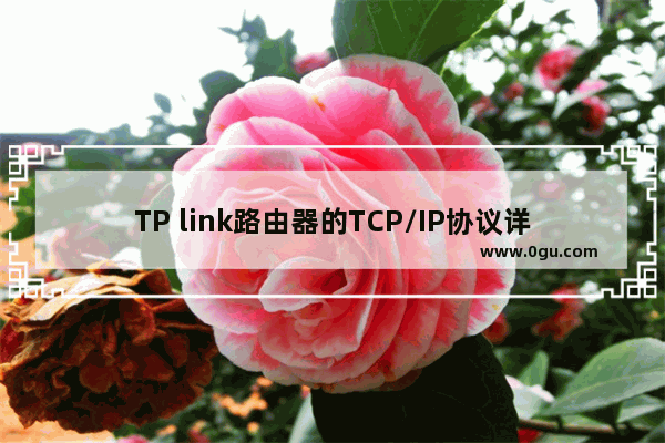 TP link路由器的TCP/IP协议详细介绍