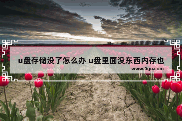 u盘存储没了怎么办 u盘里面没东西内存也没了怎么办