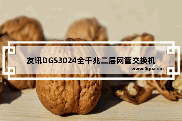 友讯DGS3024全千兆二层网管交换机